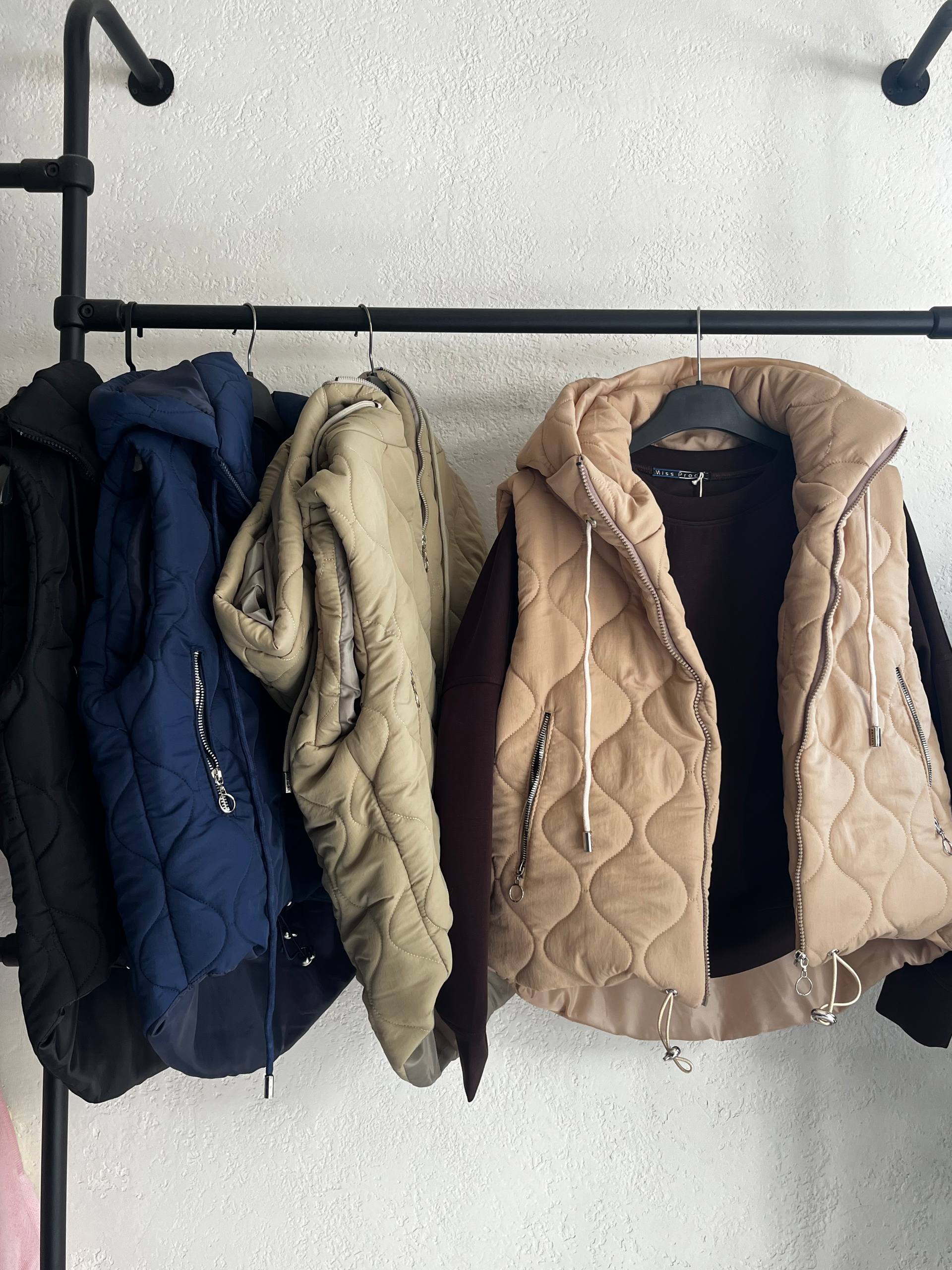 تصویر پافر 00103 